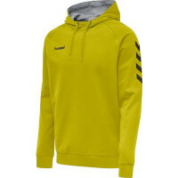 Hummel Herren-Kapuzensweat HMLGo Cotton Hoodie 203508