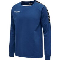 Hummel Herren-Trainingssweat  hmlAuthentic Training Sweat 205373