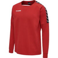 Hummel Herren-Trainingssweat  hmlAuthentic Training Sweat 205373