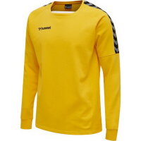 Hummel Herren-Trainingssweat  hmlAuthentic Training Sweat 205373