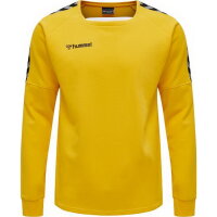 Hummel Herren-Trainingssweat  hmlAuthentic Training Sweat 205373