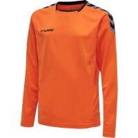 Hummel Kinder-Trikot hmlAuthentic Poly Jersey LS 204923