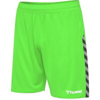 Hummel Herren-Shorts hmlAuthentic Poly Shorts 204924