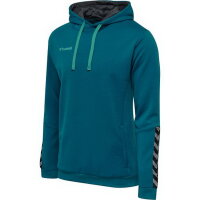 Hummel Herren-Kapuzensweat hmlAuthentic Poly Hoodie 204930