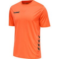 Hummel Kinder-Trikot-Set hmlPromo Duo Kids kurzarm 205873