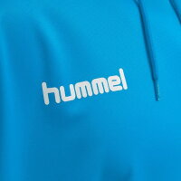 Hummel Herren-Kapuzensweat hmlPromo Poly Hoodie 208317