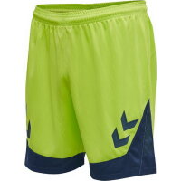 Hummel Kinder-Shorts hmlLead Poly Shorts Kids 207396