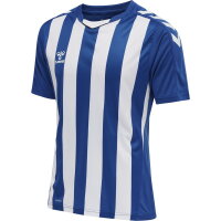 Hummel Herren-Trikot hmlCore XK Striped Jersey S/s 211458