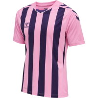 Hummel Herren-Trikot hmlCore XK Striped Jersey S/s 211458