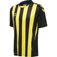 Hummel Herren-Trikot hmlCore XK Striped Jersey S/s 211458