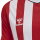 Hummel Herren-Trikot hmlCore XK Striped Jersey S/s true red/white M