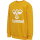 Hummel Kinder-Sweatshirt hmlDos Sweatshirt 213852