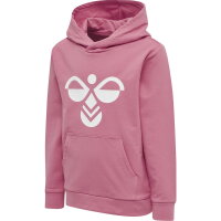 Hummel Kinder-Kapuzensweat hmlCuatro Hoodie 213850