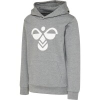 Hummel Kinder-Kapuzensweat hmlCuatro Hoodie 213850