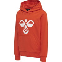 Hummel Kinder-Kapuzensweat hmlCuatro Hoodie 213850